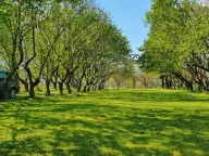 Sale, house, 132m², Ćurilac, Danilovgrad - image 14