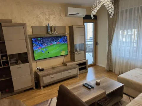 Izdavanje, dvosoban stan, 47m², Zemun Sve Podlokacije, Beograd - image 3