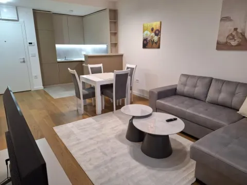 Rent, two bedroom apartment, 46m², Novi Beograd Sve Podlokacije, Beograd - image 3