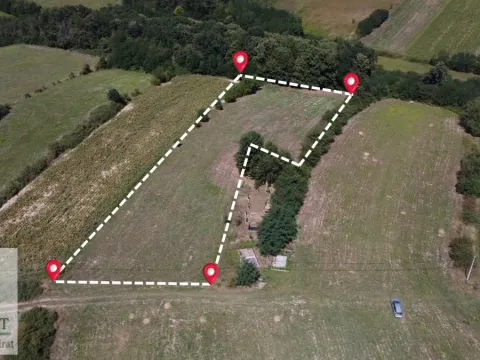 Sale, land lot, 5000m², Trlić, Ub - image 6