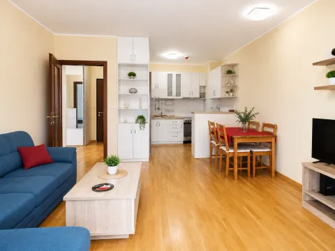 Prodaja, jednosoban stan, 50m², City Kvart, Podgorica - image 3