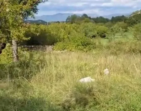 Prodaja, kuća, 45m², Nikšić, Crna Gora - image 4