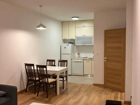 Izdavanje, jednosoban stan, 48m², New City, Podgorica - image 2