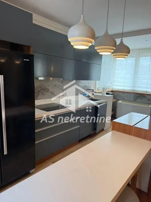 Rent, four bedroom apartment, 250m², Slavija, Vračar Sve Podlokacije