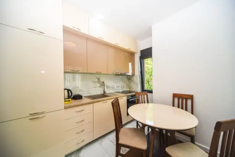 Rent, two bedroom apartment, 52m², Kruševac, Podgorica - image 5