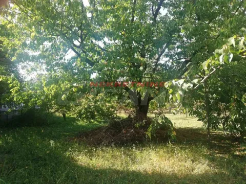 Sale, house, 125m², Novi Banovci, Stara Pazova - image 9