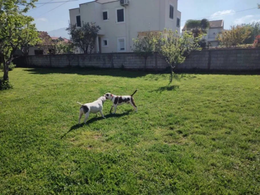 Prodaja, kuća, 180m², Murtovina, Podgorica