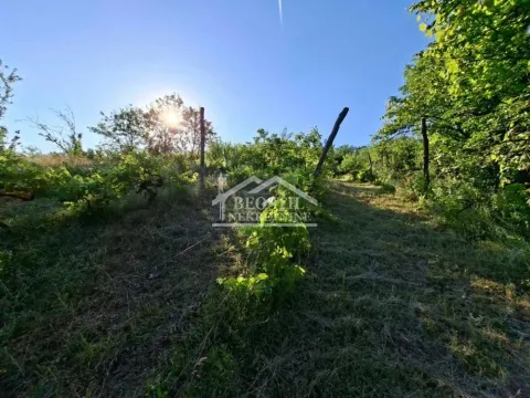 Zemljište in Grocka