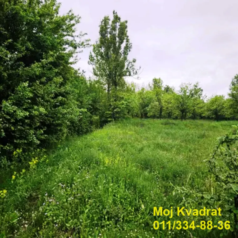 Prodaja, plac, 994m², Palilula Sve Podlokacije, Beograd