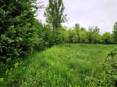 Zemljište in Palilula Sve Podlokacije