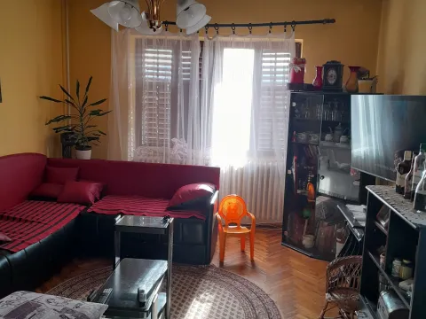 Prodaja, kuća, 450m², Futog, Novi Sad Sve Podlokacije - image 3