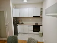 Izdavanje, jednosoban stan, 49m², Central Point, Podgorica - image 4