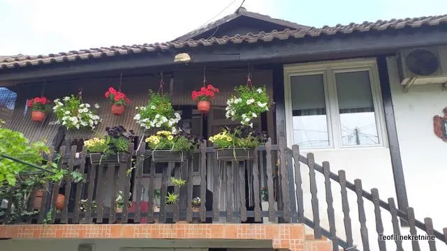 Sale, house, 80m², Surčin, Beograd