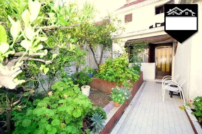 Yard in front of the house with a tiled walkway and greenery.