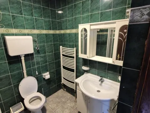 Izdavanje, jednosoban stan, 50m², Adamovićevo Naselje, Novi Sad Sve Podlokacije - image 8