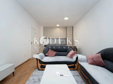 Izdavanje, jednosoban stan, 47m², Zabjelo, Podgorica - image 26