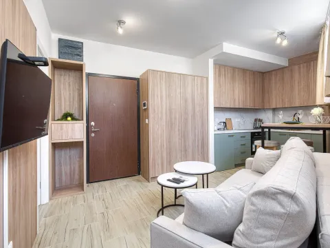 Izdavanje, jednosoban stan, 31m², Bečići, Budva - image 6