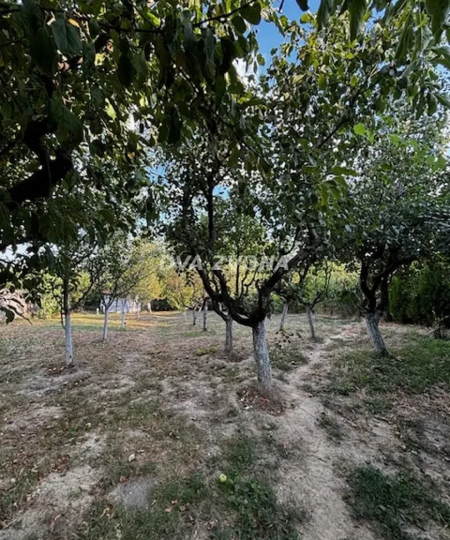 Prodaja, kuća, 37m², Čortanovci, Inđija