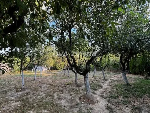 Sale, house, 37m², Čortanovci, Inđija - image 18