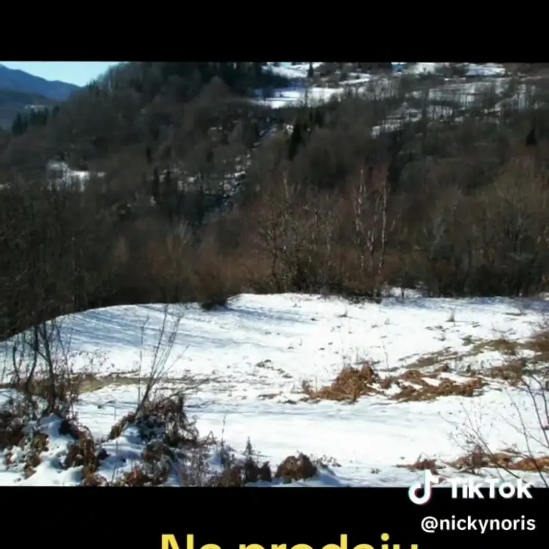 Prodaja, plac, 100000m², Sela, Kolašin