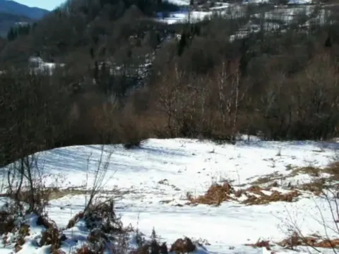 Prodaja, plac, 100000m², Sela, Kolašin - image 13