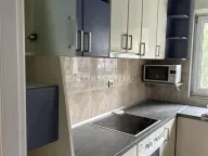 Izdavanje, kuća, 310m², Savski Venac, Beograd - image 5