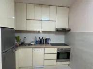 Izdavanje, jednosoban stan, 50m², Central Point, Podgorica - image 4