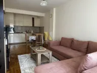 Izdavanje, jednosoban stan, 40m², Nova Detelinara, Novi Sad Sve Podlokacije - image 1