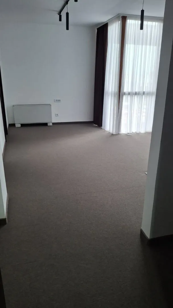 Bright empty room with grey carpeting and curtains.