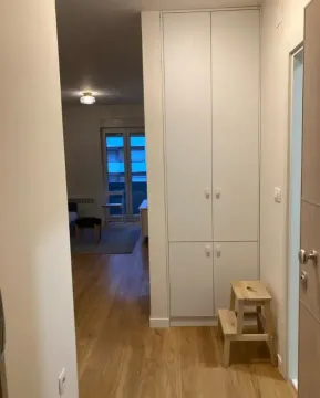 Prodaja, jednosoban stan, 40m², Central Point, Podgorica - image 4