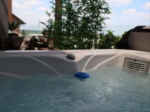 Izdavanje, stan, 105m², Sremska Kamenica, Petrovaradin - image 13