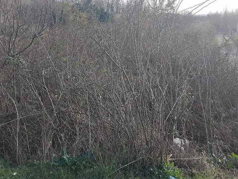 Prodaja, plac, 2400m², Dajbabe, Podgorica - image 8