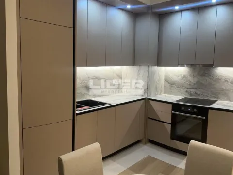 Izdavanje, dvosoban stan, 54m², Savski Venac, Beograd - image 7