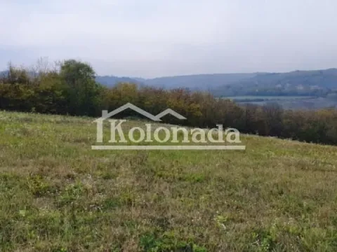 Sale, land lot, 18400m², Ropočevo, Sopot - image 6