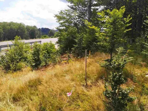 Prodaja, plac, 3167m², Pašina Voda, Žabljak - image 3