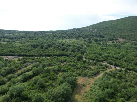 Prodaja, plac, 1817m², Zagora, Kotor - image 10