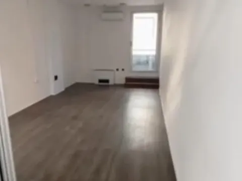 Izdavanje, poslovni prostor, 352m², Bulevar Oslobodjenja, Novi Sad Sve Podlokacije - image 3