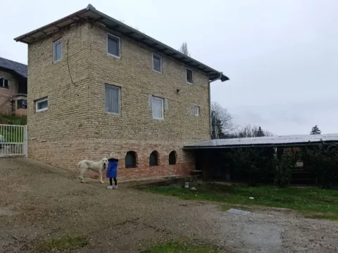 Sale, office space, 700m², Paragovo, Petrovaradin - image 9