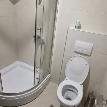 Manje kupatilo sa tuš kabinom i ugradnom wc šoljom. - image 4