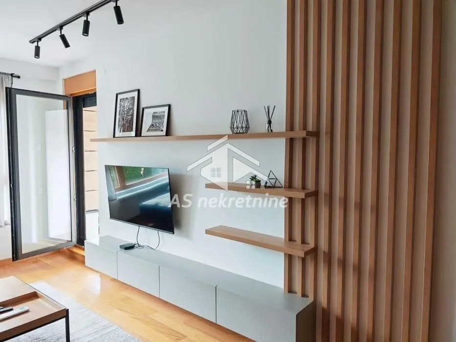 Rent, two bedroom apartment, 48m², Novi Beograd Blok 65, Novi Beograd Sve Podlokacije