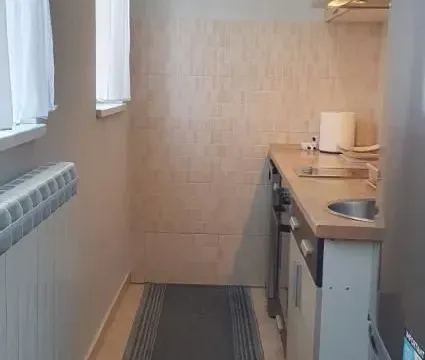 Izdavanje, dvosoban stan, 40m², Vračar Sve Podlokacije, Beograd - image 9