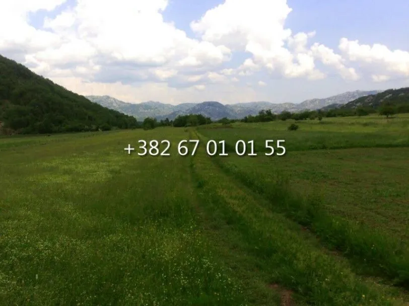 Sale, land lot, 14000m², Grahovo, Nikšić