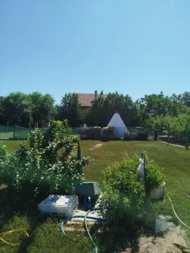 Zeleno dvorište sa travnjakom i rastinjem. - image 6