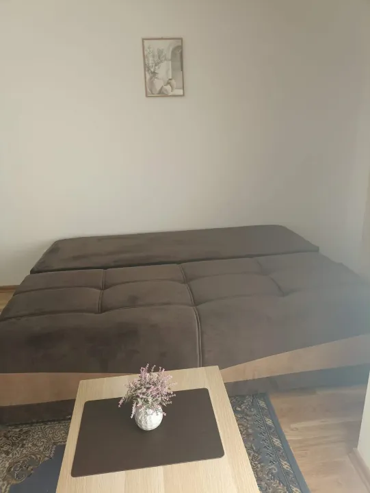 Rent, studio apartment, 24m², Zabjelo, Podgorica
