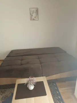 Rent, studio apartment, 24m², Zabjelo, Podgorica - image 1