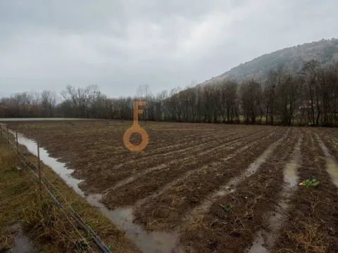 Prodaja, plac, 15000m², Danilovgrad, Crna Gora - image 6