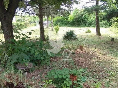 Prodaja, kuća, 66m², Koraćica, Mladenovac - image 3