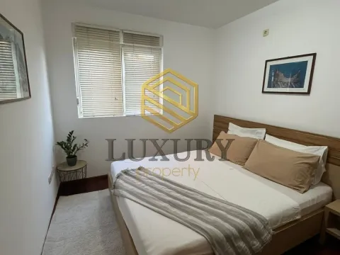 Rent, one bedroom apartment, 44m², Stari Aerodrom, Podgorica - image 1