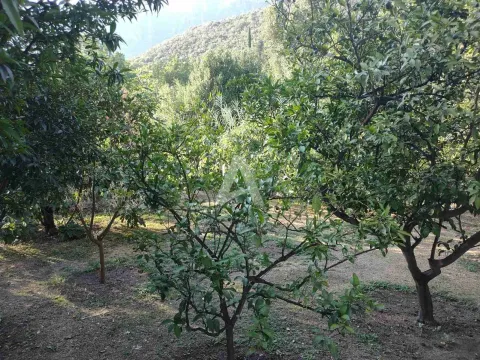 Prodaja, kuća, 180m², Zelenika, Herceg Novi - image 15