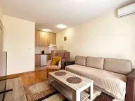 Izdavanje, stan, 38m², Zabjelo, Podgorica - image 3